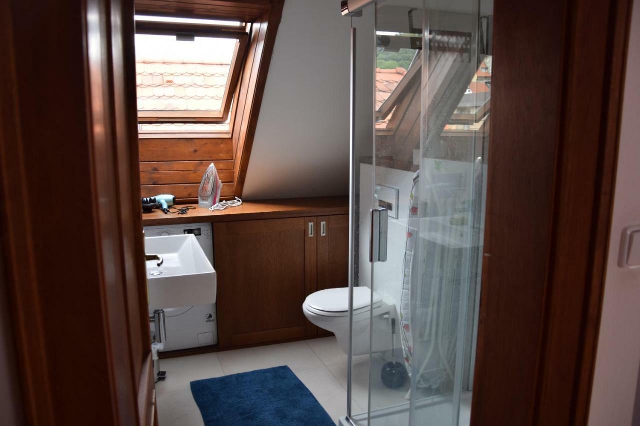 Mala Strana -piece And Quiet Apartment Prag